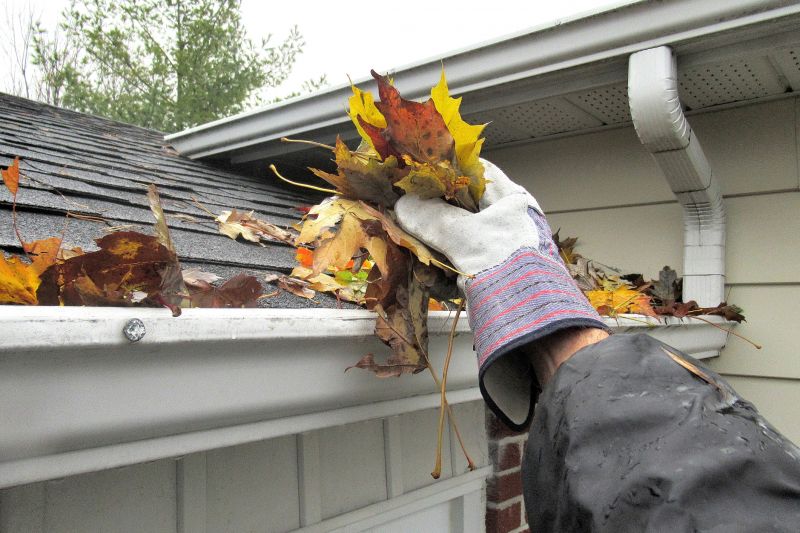 Gutter Cleaning and Maintenance