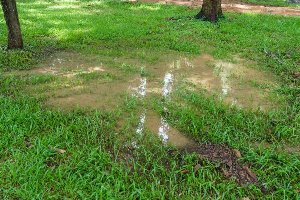 Storm Water Drainage Service in Fort Smith