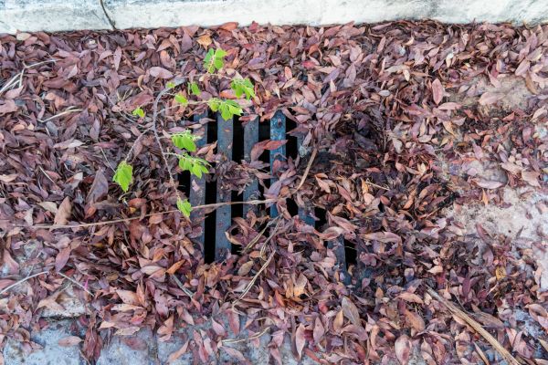 Yard Drain Unclogging in Fort Smith