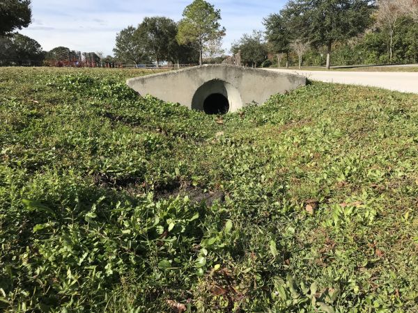 Cost of Swale Drainage Service in Fort Smith